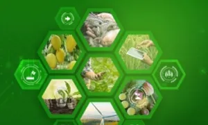 Những nội dung quan trọng tại Mekong Startup 2024 Những nội dung quan trọng tại Mekong Startup 2024