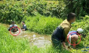 Kế hoạch bắt cóc đại gia ở TP HCM của nhóm người Trung Quốc Kế hoạch bắt cóc đại gia ở TP HCM của nhóm người Trung Quốc