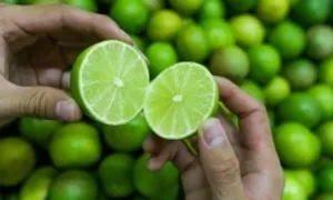 7 quả giàu canxi nên ăn thường xuyên 7 quả giàu canxi nên ăn thường xuyên