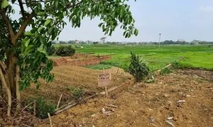 'Cầm ba tỷ đồng nửa năm không mua nổi đất ngoại thành Hà Nội' 'Cầm ba tỷ đồng nửa năm không mua nổi đất ngoại thành Hà Nội'