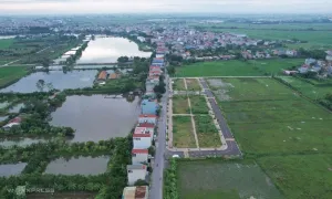 Đất trúng đấu giá huyện ven Hà Nội tiếp tục giảm nhiệt Đất trúng đấu giá huyện ven Hà Nội tiếp tục giảm nhiệt