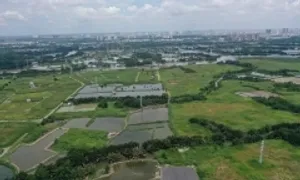 Nhà không sổ từ đời ông bà, làm sao xác định quyền sở hữu? Nhà không sổ từ đời ông bà, làm sao xác định quyền sở hữu?