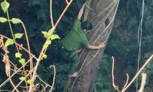 Đăk Nông cấm du khách vào hang động núi lửa Đăk Nông cấm du khách vào hang động núi lửa