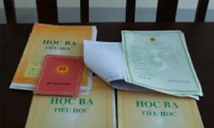 Gian lận tuổi trong thể thao bị xử lý thế nào? Gian lận tuổi trong thể thao bị xử lý thế nào?