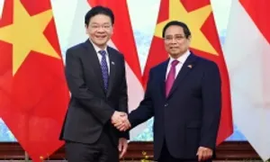 Việt Nam - Singapore sẽ trở thành điển hình hợp tác trong khu vực Việt Nam - Singapore sẽ trở thành điển hình hợp tác trong khu vực