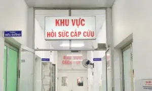 6 người ngộ độc sau uống rượu trái cây 6 người ngộ độc sau uống rượu trái cây