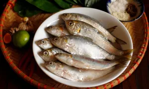 Cách tiêu thụ cá của người dân vùng thọ nhất thế giới Cách tiêu thụ cá của người dân vùng thọ nhất thế giới