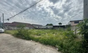 'Mua vàng cả đời không bằng tiền lời lô đất' 'Mua vàng cả đời không bằng tiền lời lô đất'