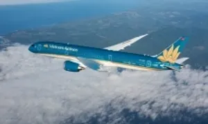 Lý do Vietnam Airlines chọn hình chim Lạc làm thông điệp cất cánh Lý do Vietnam Airlines chọn hình chim Lạc làm thông điệp cất cánh
