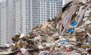 Tội phạm môi trường sẽ bị phạt tiền tăng gấp 6 lần Tội phạm môi trường sẽ bị phạt tiền tăng gấp 6 lần
