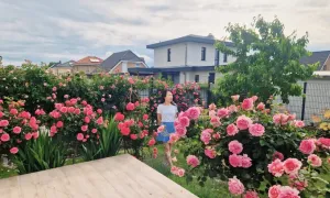 Ngôi nhà hoa hồng của vợ chồng Việt ở Đức