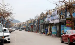 Doanh nghiệp thiệt hại do bão Yagi có thể được tạm dừng đóng BHXH
