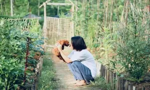 Tôi về quê nhưng sống sướng hơn bám trụ ở thành phố