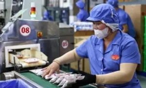 Công nghiệp chế biến chế tạo TP HCM tăng cao nhất 4 năm Công nghiệp chế biến chế tạo TP HCM tăng cao nhất 4 năm